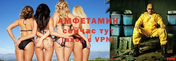 ПСИЛОЦИБИНОВЫЕ ГРИБЫ Горно-Алтайск