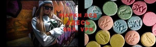PSILOCYBIN Армянск
