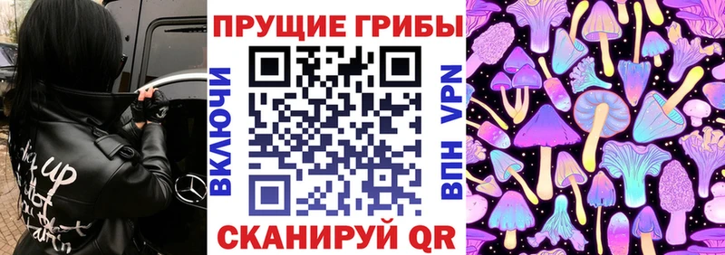 Псилоцибиновые грибы прущие грибы  Рыбинск 
